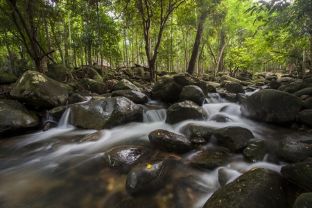 A beautiful temperate rainforest with waterfalls.The Khoa Chamoun Water Fall in Rayong Thailand.
