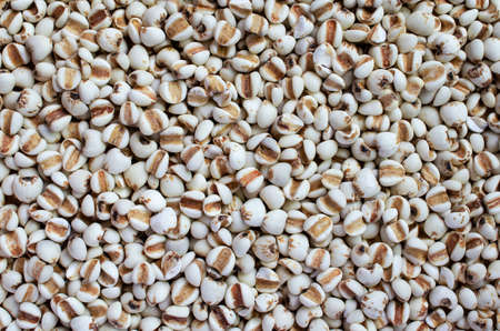 Dry organic job's tear seed background in dark tone