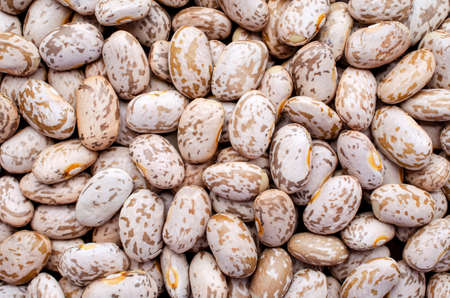 Top view of dry organic into bean background