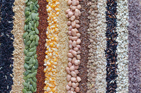 Variety kinds of natural cereal and grain seed stripe background, for healthy or clean food ingredient or agricultura product conceptの写真素材