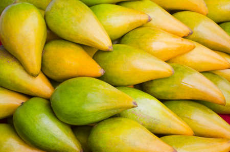 Fresh organic canistel fruit after harvested from the farm