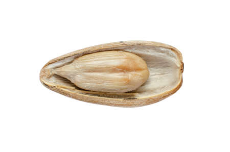 Closed up peeled sunflower seed piece isolated on white background. For natural healthy food or...