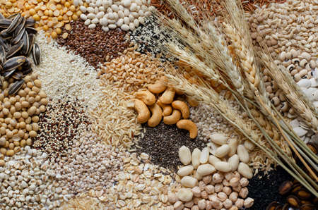Variety kind of dry organic cereal and grain seeds pile with dry wheat ear, for healthy or clean...