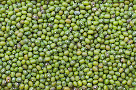 Dry organic green mung bean background after harvested from the farm, ready for  healthy food ingredient. Concept of agricultural product or carbohydrate food typeの写真素材