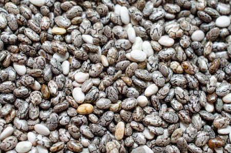 Closed up dry organic chia seed background ready for cooking. For healthy or food ingredient or agricultural product conceptの写真素材