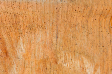 Texture background of backlight old brown Leaf .