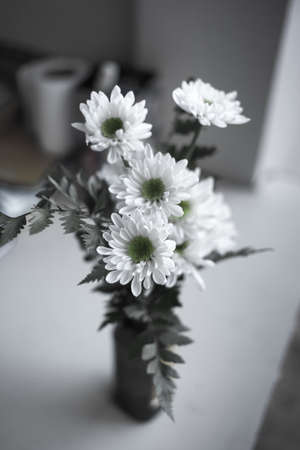 Monochrome close up shot of flower head .の写真素材