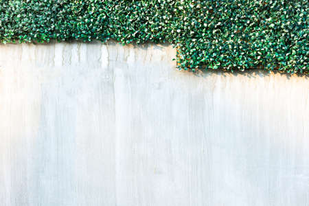 gray wall and Plastics grass texture background .の写真素材