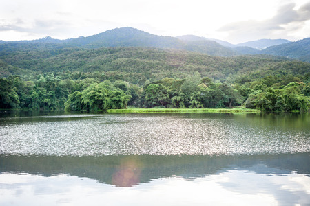 Spring forest is reflected in the river .の写真素材