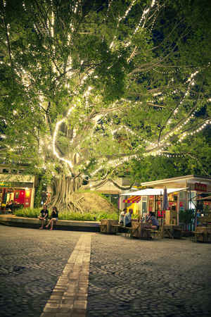 People relax under the big tree with light form lamp background in public park at Think Park, Chiang Mai, Thailandのeditorial素材