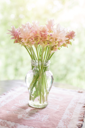 Defocus and soft focus pink blossom, delicate floral background with copy space. Use painting effect .の写真素材