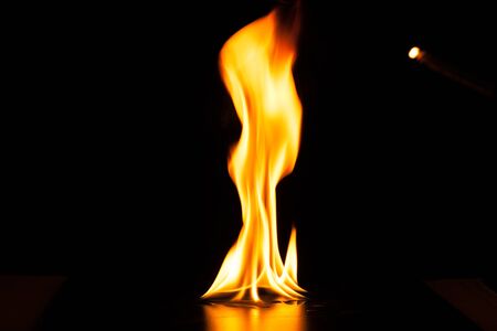 Burning fire flame on black background.