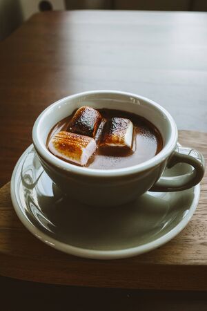 Hot Chocolate with Marshmallows in pastel mug.