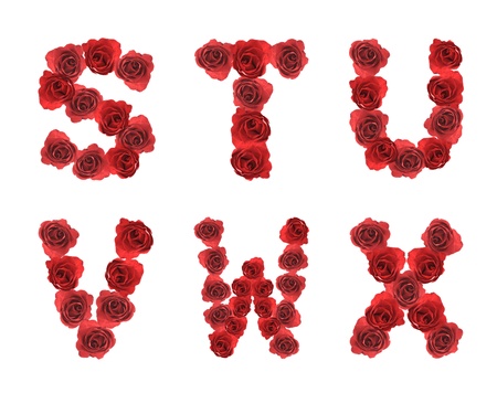 high resolution alphabet letter S T U V W X made from red rose isolated on a white background high resolution alphabet letter S T U V W X made from red rose isolated on a white background