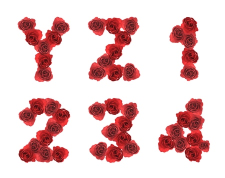high resolution alphabet letter Y Z 1 2 3 4 made from red rose isolated on a white backgroundの写真素材