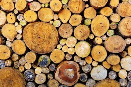 grunge wall made by wood logs の写真素材