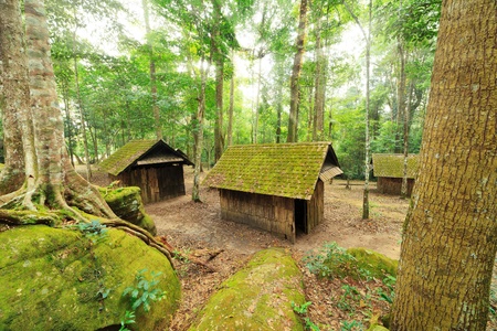 Old wrecked hut in deep forestの写真素材