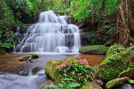 beautiful Mundaeng Waterfall in Thailand の写真素材