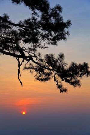 sunrise silhouettes of mountain forest in national park of Thailandの写真素材