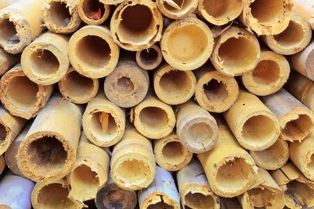 bamboo log textureの写真素材