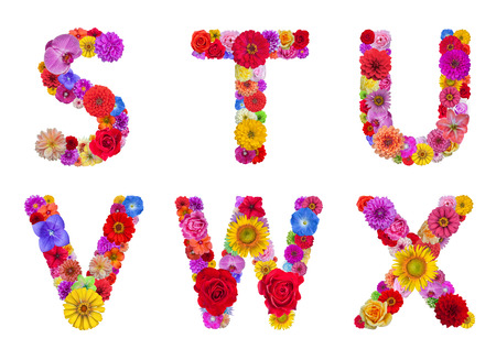 Flower alphabet Isolated on white background with clipping partの写真素材