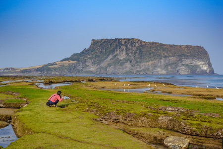 Activity at Jeju Island, South Koreaの写真素材