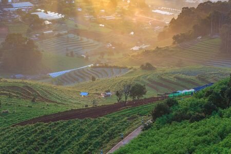 misty sunrise at farm on mountain, Chiang mai, Thailandの写真素材
