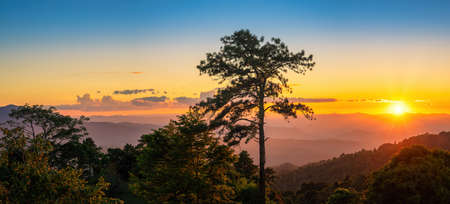 Tropical forest nature landscape view with mountain range sunset at Huai Nam Dang National Park, Chiang Mai Thailand panoramaの写真素材