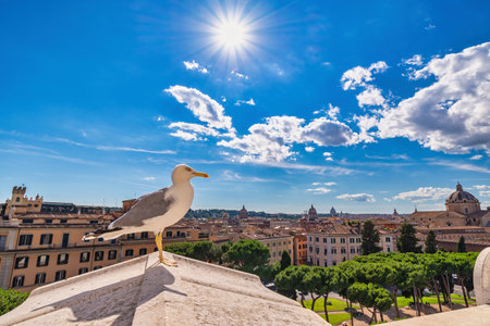 Rome Italy, high angle view city skyline at Rome city center with seagullの写真素材