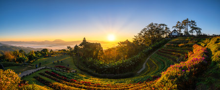 Tropical forest nature landscape view with mountain range sunrise at Huai Nam Dang National Park, Chiang Mai Thailand panoramaの写真素材