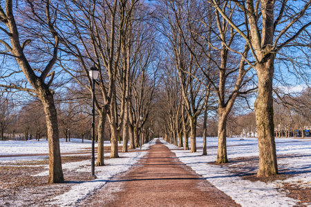 Oslo Norway, snow winter landscape at Vigeland Parkの写真素材