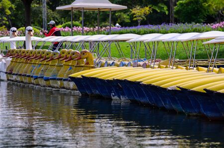 the watercycle for rent in parkの写真素材