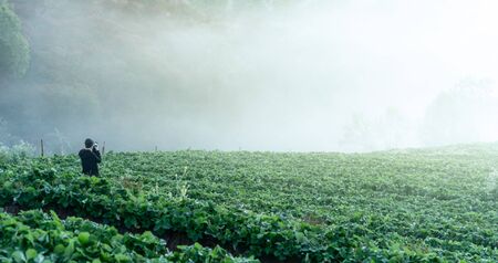 the tourism take a photo in strawberry fieldの写真素材