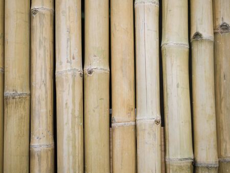 Bamboo wall background