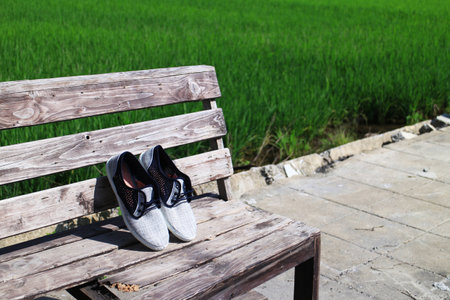 Shoe on Natureの写真素材
