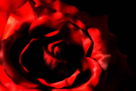 Artificial Rose Flowers backgroundの写真素材