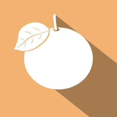 illustration of an orange with a sliceのイラスト素材
