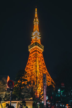 Tokyo Tower, lit up at night, is one of the symbols of Japan.の写真素材
