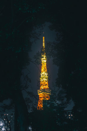 Tokyo Tower, lit up at night, is one of the symbols of Japan.の写真素材