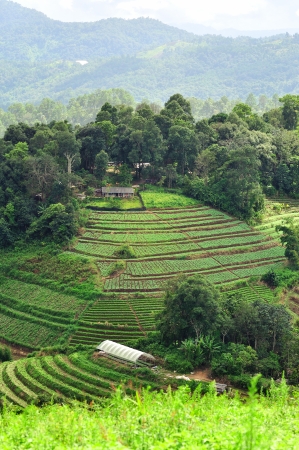 Viewpoint from top of tropical mountain, Chiang Mai, Thailandの写真素材
