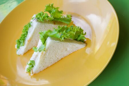 Tuna sandwich a breakfast setの写真素材