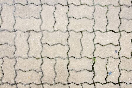 Texture of concrete block pavementsの写真素材