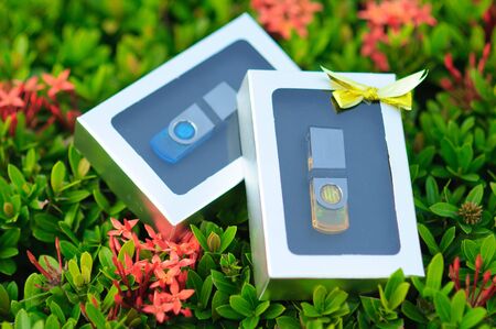 Blue and Yellow color USB flash drives in a gift set boxs on  bush
