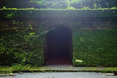 Entry of Wat U-Mong temple with a lot of plantの写真素材