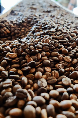 Freshly roasted coffee beans in a coffee roasterの写真素材