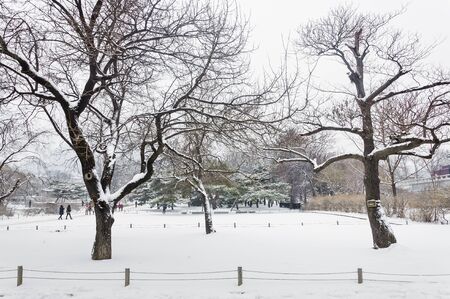 Snow in the winter landscape of field on a cloudy day.の写真素材