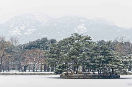 Gyeongbokgung Palace have snowy in winter season,South Koreaのeditorial素材