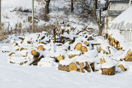 many log covered by a white snow in winterの写真素材