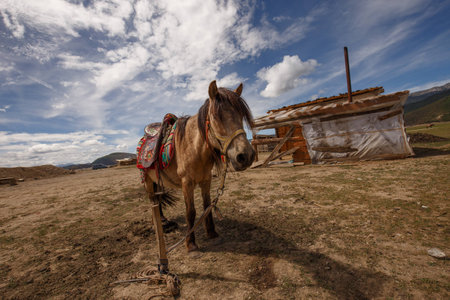 Shangri-la Jiantangの写真素材