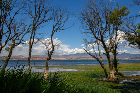 Natural and landscape at Erhai lake Dali,, Yunnan province, Chinaの写真素材